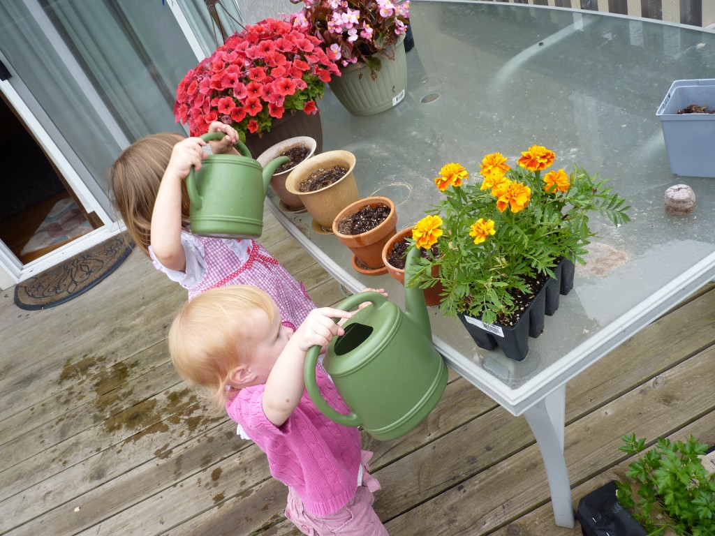 audrey and mo gardening