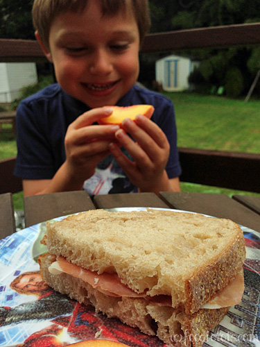 lunch box taste testing | foodietots.com