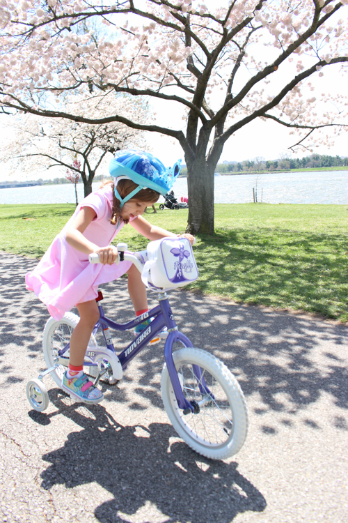 biking dc cherry blossoms | foodietots.com