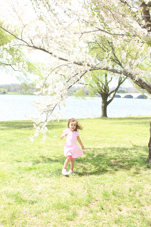 ralph lauren polo dress | foodietots.com