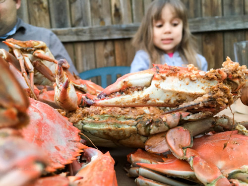 kid-friendly crab houses | foodietots.com